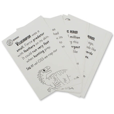 Paint with Water Dinosaurs image number 3