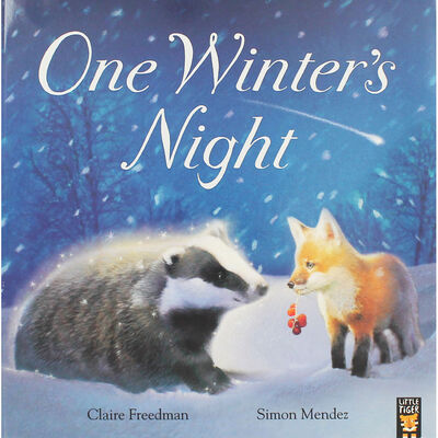 One Winters Night image number 1