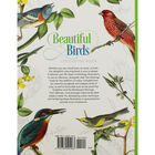Beautiful Birds Colouring Book image number 3