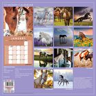 Horses 2021 Calendar and Diary Set image number 2