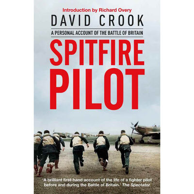 Spitfire Pilot image number 1