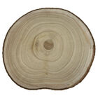 Large Wooden Slice: 25cm image number 1