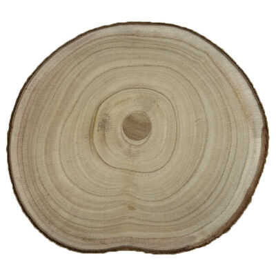 Large Wooden Slice: 25cm image number 1