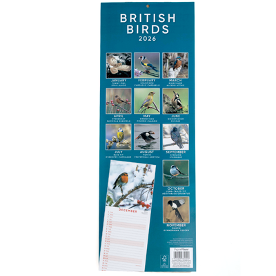 2026 Birds Slim Calendar image number 3