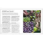 RHS Step-by-Step Veg Patch image number 2
