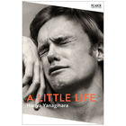 A Little Life image number 1