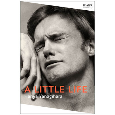 A Little Life image number 1