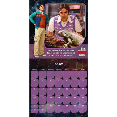 The Big Bang Theory Official 2022 Calendar image number 2