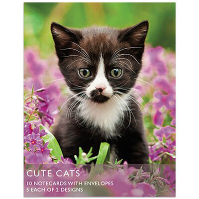 Cute Cats Notecards image number 1