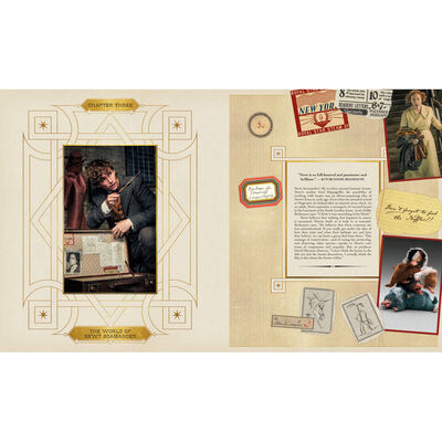 The Archive of Magic: the Film Wizardry of Fantastic Beasts image number 2