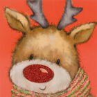 Rudolph Christmas Cards: Pack Of 10 image number 2