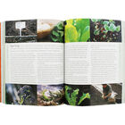 Monty Don: The Complete Gardener image number 2