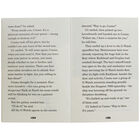 Alien Invaders - Rockhead Inferno image number 2