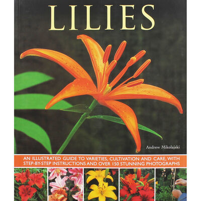 Lilies image number 1