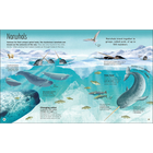 Earth's Incredible Oceans image number 3