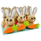 Brown Easter Bunnies with Carrots: Pack of 6 image number 2