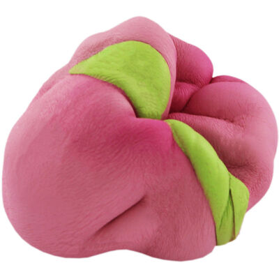 Peach Squidgy Toy image number 3