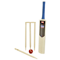 Size 5 Cricket Set in Mesh Carry Bag