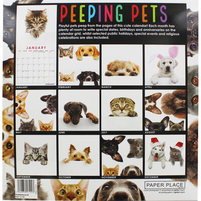 Peeping Pets 2020 Square Calendar image number 2