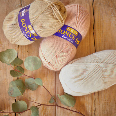 Bonus DK: Biscuit Yarn 100g image number 3