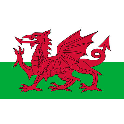 Wales Giant Flag - 3x2ft image number 2