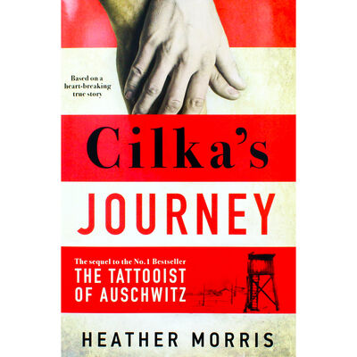 Cilka's Journey image number 1