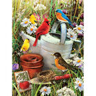 Garden Birds Paint By Numbers Set image number 2