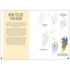 Draw 100: Dragons image number 2