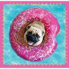 Cute Dogs 3-in-1 Jigsaw Puzzle image number 4