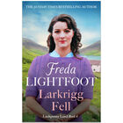 Larkrigg Fell: Luckpenny Land Book 4 image number 1