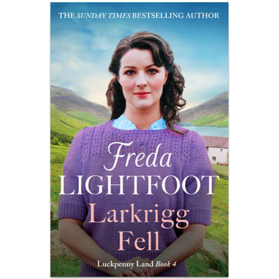 Larkrigg Fell: Luckpenny Land Book 4 image number 1