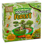 Paint and Grow Your Own Miniature Forest image number 1