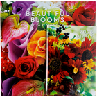 Blooms 2026 Calendar & Diary Set image number 1