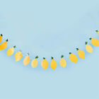 Lemon Garland image number 2
