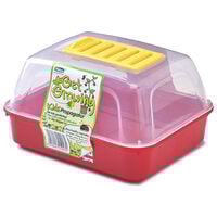 Whitefurze Get Growing Kids Propagator