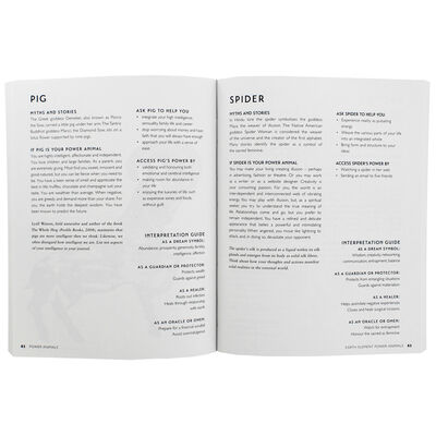 Power Animals: For Guidance, Protection & Healing image number 2