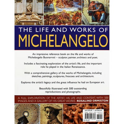 The Life and Works of Michelangelo image number 4