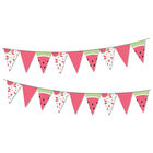 Watermelon Bunting 3m image number 2