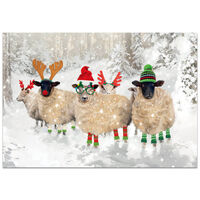 Charity Festive Sheep Christmas Cards: Pack of 10
