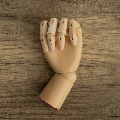 Crawford & Black Wooden Hand Manikin image number 3