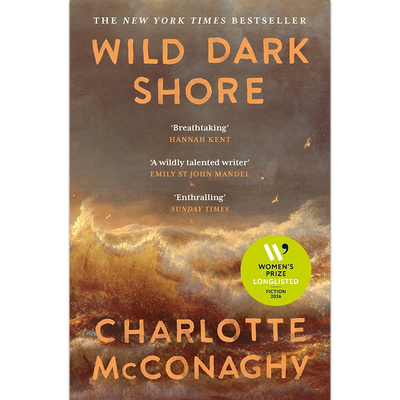 Wild Dark Shore image number 1