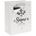 Silver Small Gift Bag image number 1