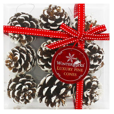 Snow Covered Pine Cones - 9 Pack image number 1