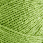 Bonus DK: Fern Green Yarn 100g image number 2