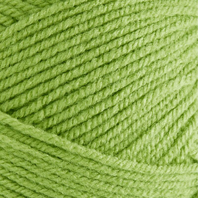 Bonus DK: Fern Green Yarn 100g image number 2