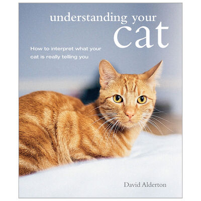 Understanding Your Cat image number 1