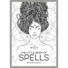 The Little Book of Spells image number 1