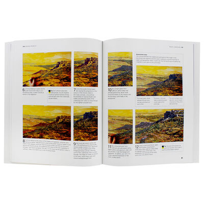 The Practical Encyclopedia of Acrylics, Oils and Gouache image number 3