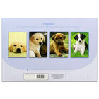Puppies Card Wallet Set: Pack of 20 image number 3