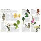 Encyclopedia of Herbal Medicine image number 3